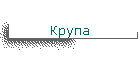 Крупа