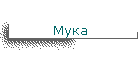 Мука