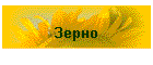 Зерно